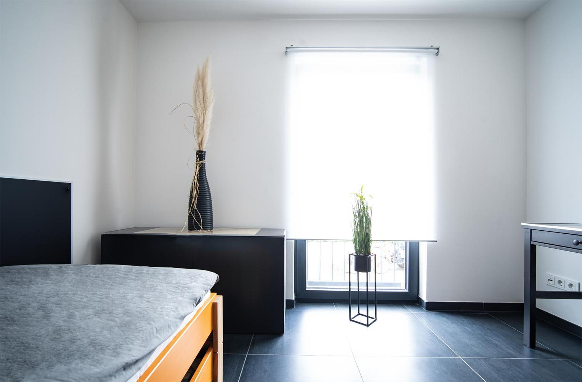 Blauer Stein Apartments Wh4 普尔海姆 外观 照片